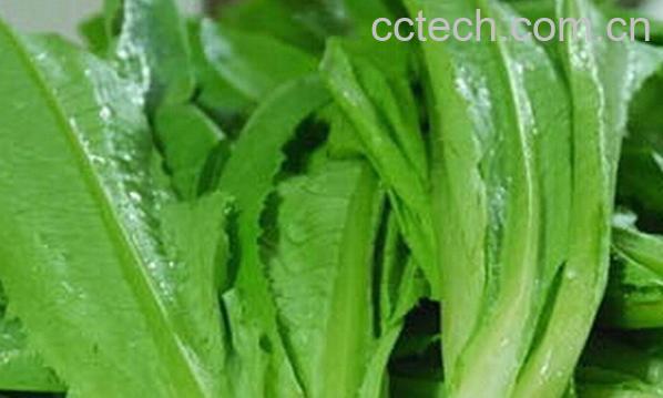 果蔬百科吃莴笋叶有什么好处-0