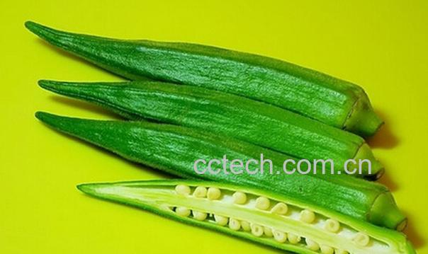 果蔬百科秋葵的功效与作用-0