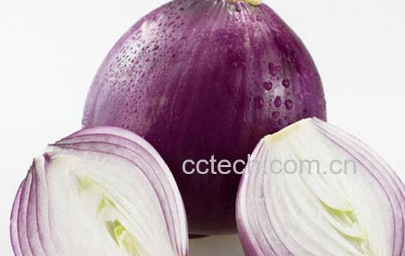 果蔬百科孕妇吃生洋葱好吗-0