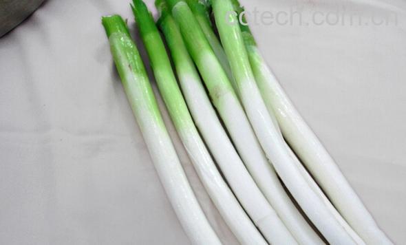 果蔬百科生吃葱的好处-0