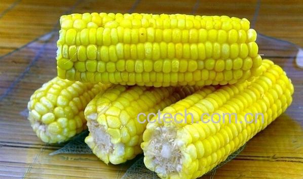 果蔬百科玉米-0