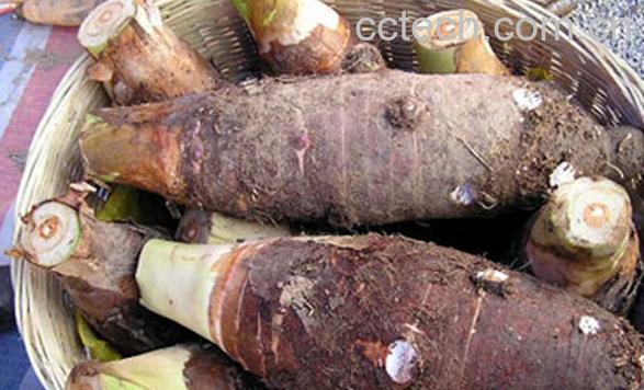 果蔬百科香芋头的功效与作用-0