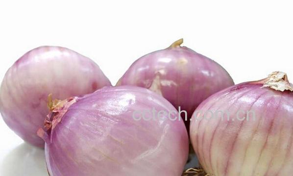 果蔬百科圆葱和什么相克-0