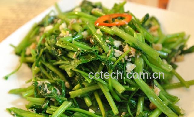 果蔬百科空心菜的营养价值及食用功效-0