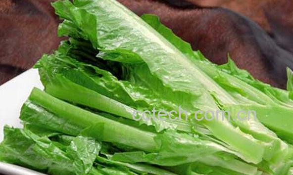 果蔬百科莴笋的生菜的区别-0