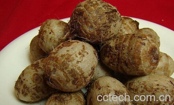 果蔬百科芋头的功效与作用禁忌-0