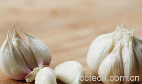 果蔬百科生吃大蒜有什么危害-0