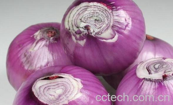 果蔬百科圆葱与洋葱的区别-0