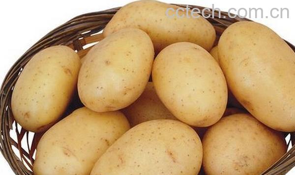 果蔬百科如何辨别翻新土豆-0