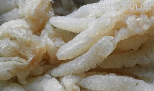 果蔬百科海蜇头怎么保存-0