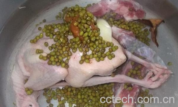 果蔬百科鸽子绿豆汤-0