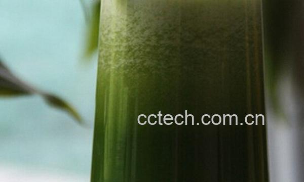 果蔬百科夏季喝苦瓜汁有什么好处-0