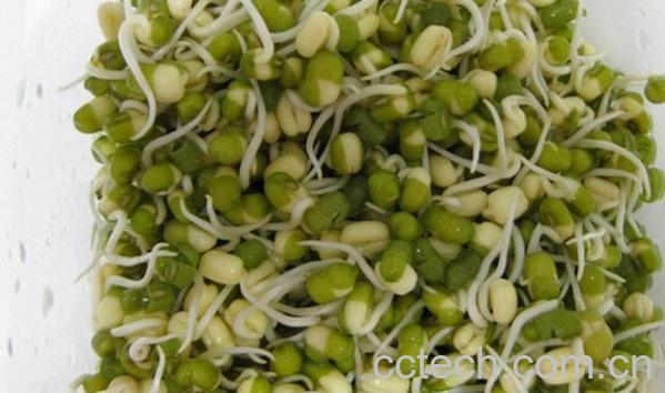 果蔬百科绿豆怎么发豆芽-0