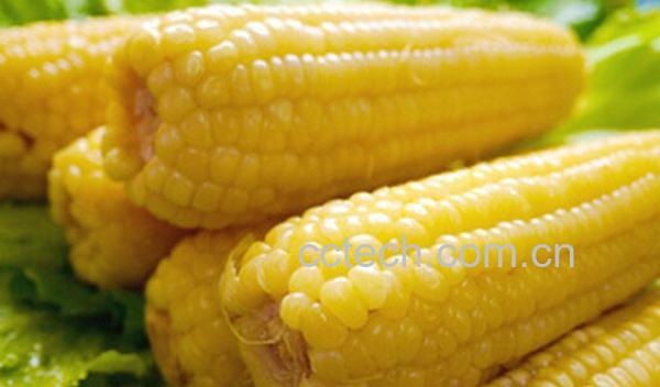 果蔬百科夏季怎么保存煮熟的玉米-0
