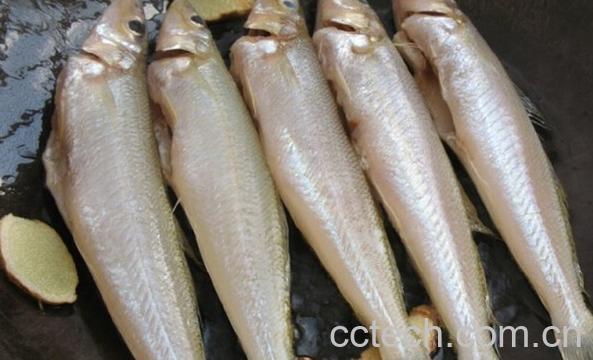 果蔬百科烧鱼怎么不粘锅-0