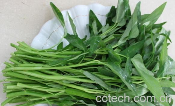 果蔬百科空心菜叶子能吃吗-0