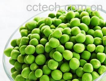 果蔬百科青豆的功效与作用-0