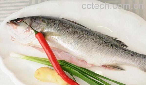 果蔬百科鲈鱼-0