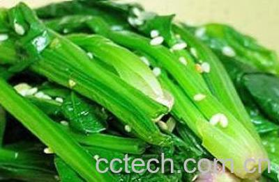 果蔬百科菠菜的营养价值功效和适宜人群-0