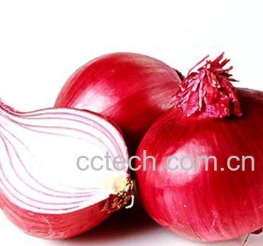 果蔬百科哪些食物不能和洋葱一起吃-0