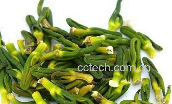 果蔬百科莲子芯泡茶-0