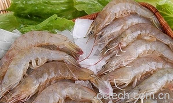 果蔬百科吃虾不能吃什么水果-0