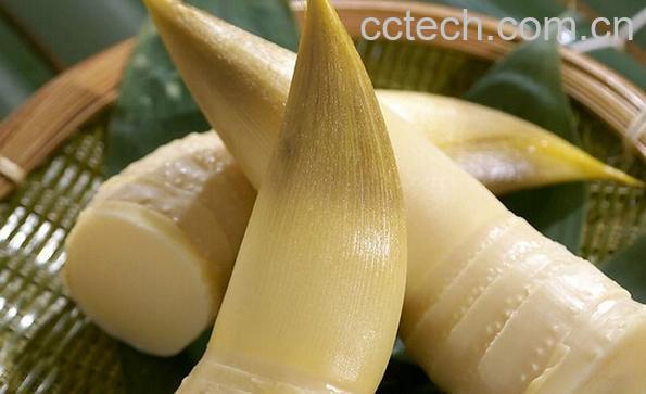 果蔬百科如何鉴别竹笋是否变质-0