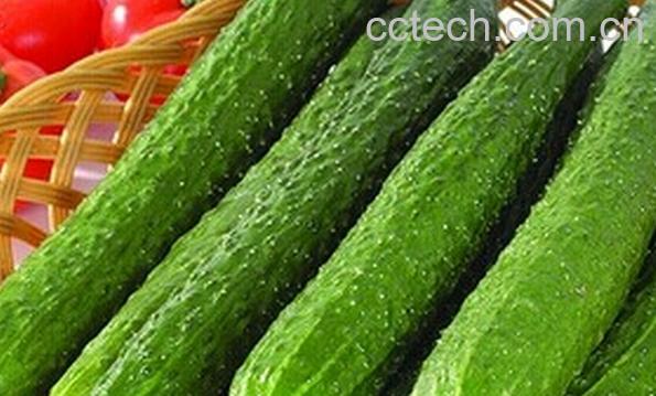 果蔬百科每天吃黄瓜有什么好处-0