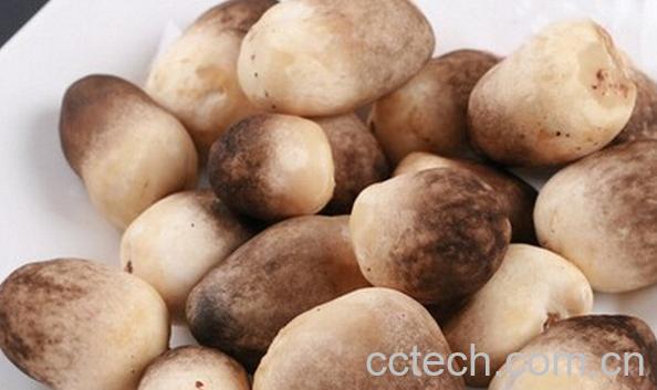 果蔬百科草菇如何存放-0