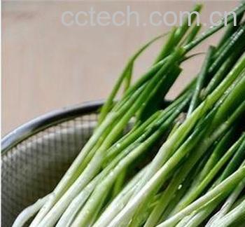 果蔬百科小葱与香葱区别-0