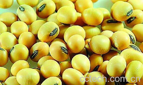 果蔬百科吃转基因食品的危害-0