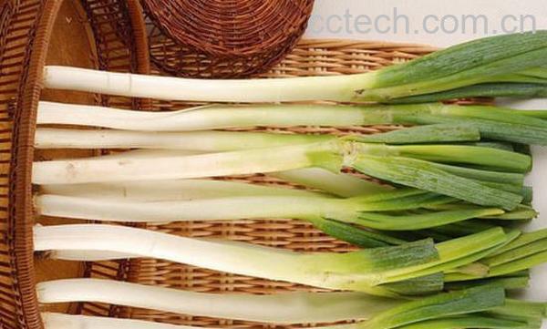 果蔬百科生大葱的功效与作用-0