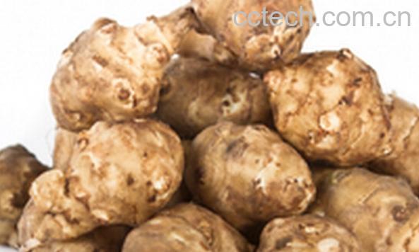 果蔬百科地环与洋姜的区别-0