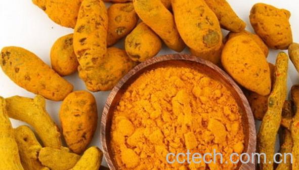 果蔬百科姜黄和洋姜的区别-0