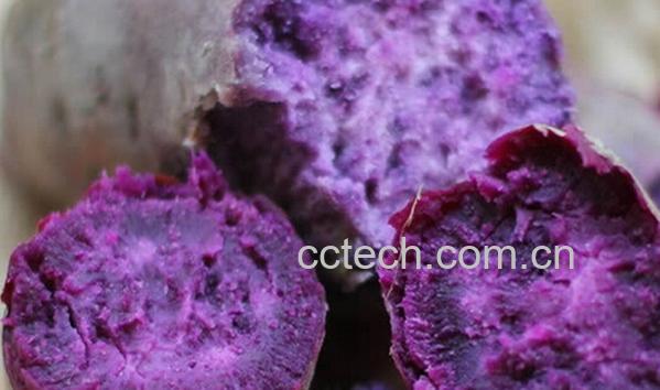 果蔬百科紫薯和红薯-0