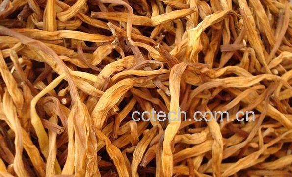 果蔬百科黄花菜-0