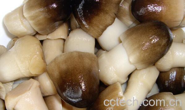 果蔬百科怀孕可以吃草菇吗-0