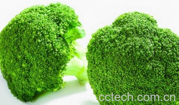 果蔬百科绿花菜-0