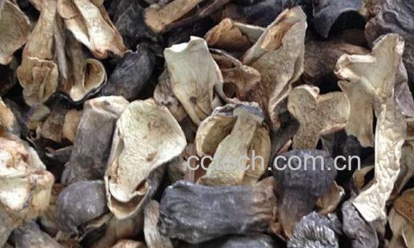 果蔬百科草菇干的食用方法-0