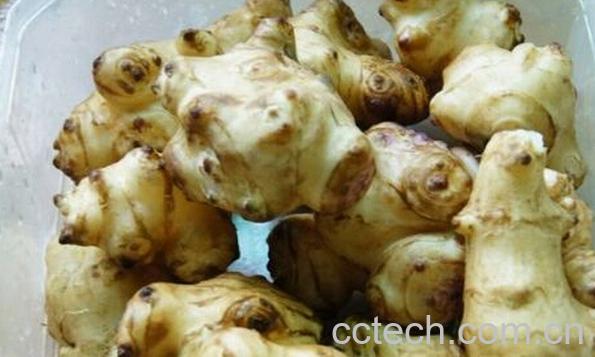 果蔬百科洋姜与什么食物相克-0