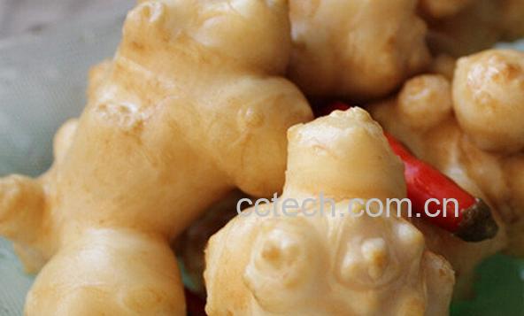 果蔬百科洋姜能做泡菜吗-0