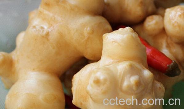 果蔬百科洋姜泡菜-0