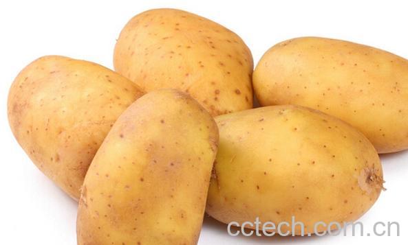 果蔬百科马铃薯-0