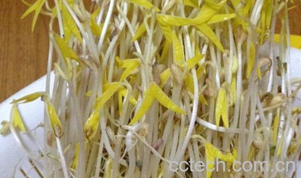 果蔬百科家庭自制豆牙-0