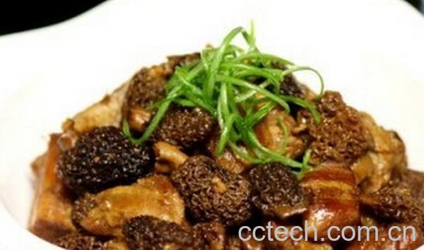 果蔬百科羊肚蘑菇-0