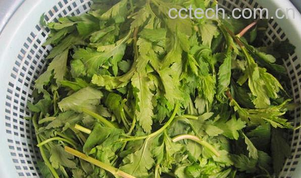 果蔬百科野菜蘑菇丁-0