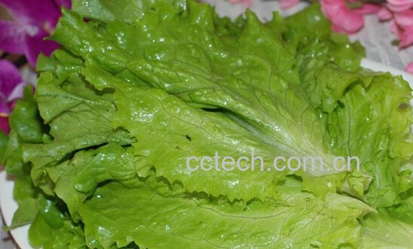 果蔬百科生菜粉-0