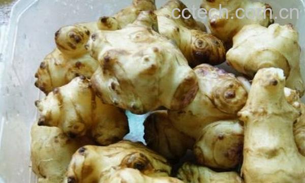 果蔬百科洋姜能降血糖吗-0