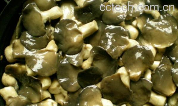 果蔬百科盐水蘑菇-0