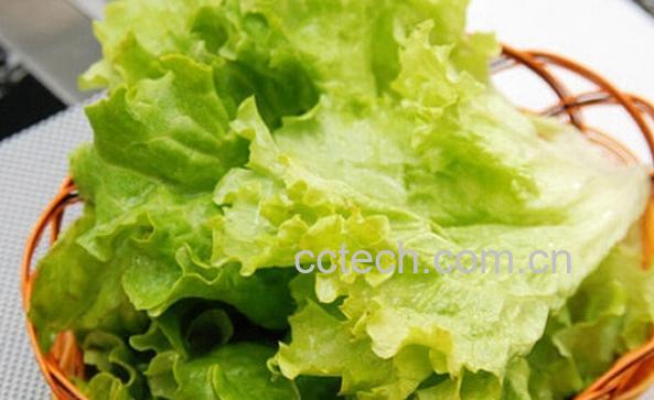 果蔬百科生菜怎么清洗-0